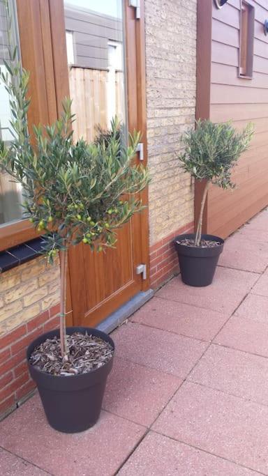 Modern En Sfeervol Appartement Aan Zee Met Airco Zoutelande Εξωτερικό φωτογραφία